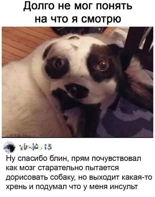 https://upforme.ru/uploads/000a/3f/42/819/t590620.jpg