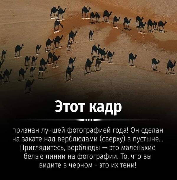 https://upforme.ru/uploads/000a/3f/42/819/t591325.jpg