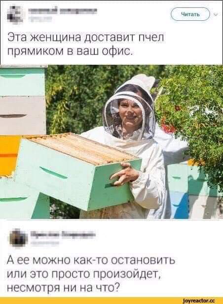 https://upforme.ru/uploads/000a/3f/42/819/t610687.jpg