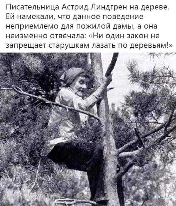 https://upforme.ru/uploads/000a/3f/42/819/t619336.jpg