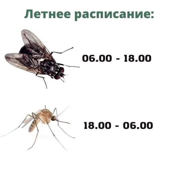 https://upforme.ru/uploads/000a/3f/42/819/t682903.jpg