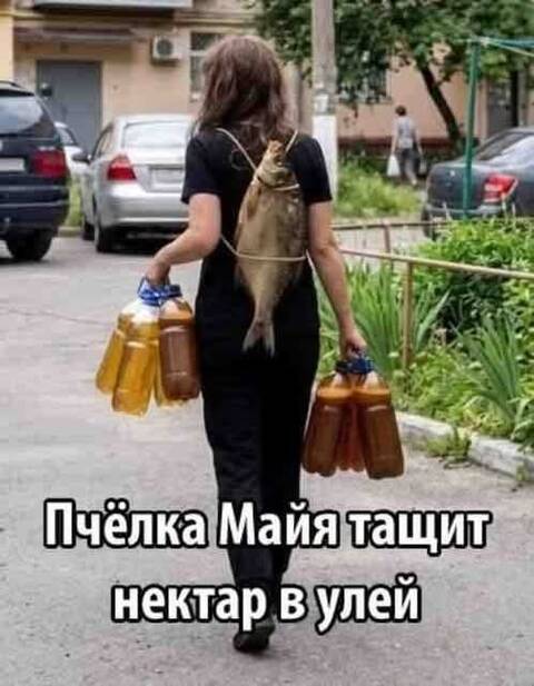 https://upforme.ru/uploads/000a/3f/42/819/t738584.jpg