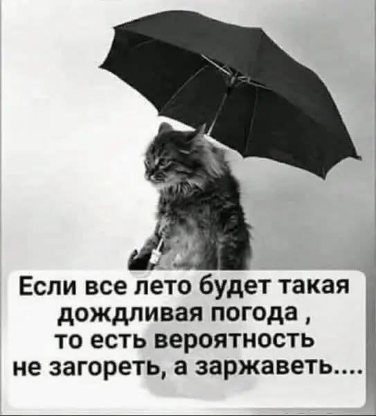 https://upforme.ru/uploads/000a/3f/42/819/t74970.jpg