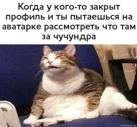 https://upforme.ru/uploads/000a/3f/42/819/t76500.jpg