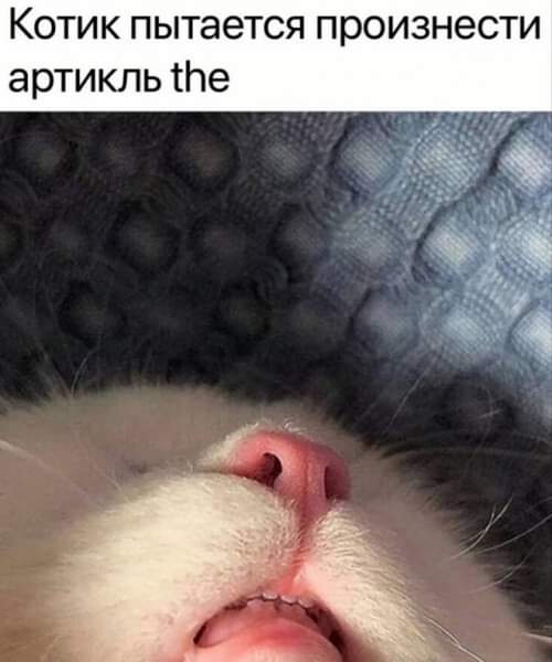 https://upforme.ru/uploads/000a/3f/42/819/t79925.jpg