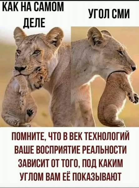 https://upforme.ru/uploads/000a/3f/42/819/t835433.jpg