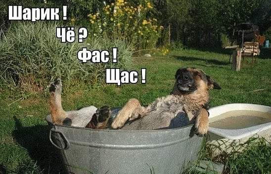 https://upforme.ru/uploads/000a/3f/42/819/t866623.jpg
