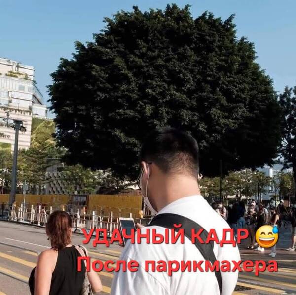 https://upforme.ru/uploads/000a/3f/42/819/t877798.jpg