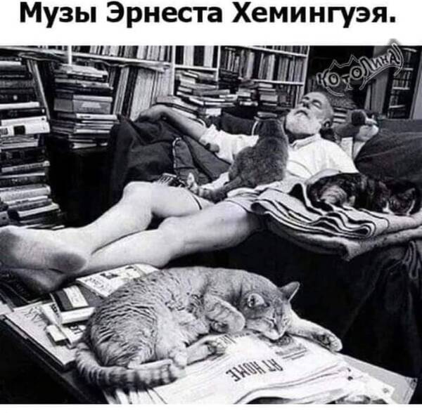 https://upforme.ru/uploads/000a/3f/42/819/t884436.jpg