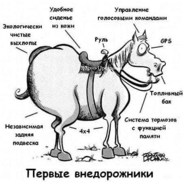 https://upforme.ru/uploads/000a/3f/42/819/t905299.jpg