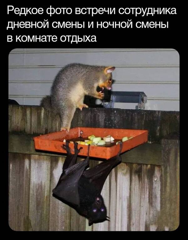 https://upforme.ru/uploads/000a/3f/42/819/t919346.jpg