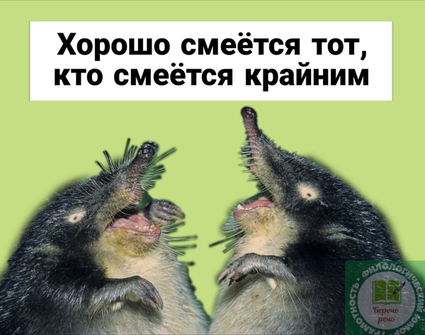 https://upforme.ru/uploads/000a/3f/42/819/t921935.png