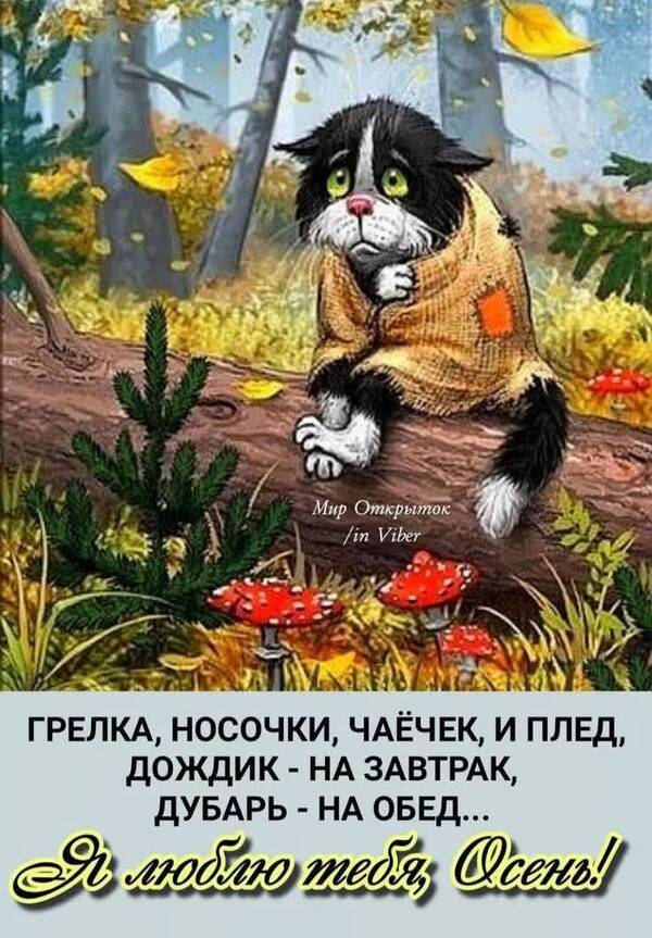 https://upforme.ru/uploads/000a/3f/42/819/t926773.jpg