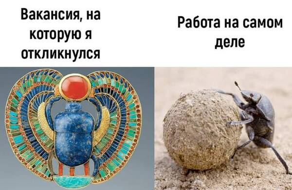https://upforme.ru/uploads/000a/3f/42/819/t950868.jpg