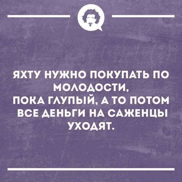 https://upforme.ru/uploads/000a/3f/42/819/t963393.jpg
