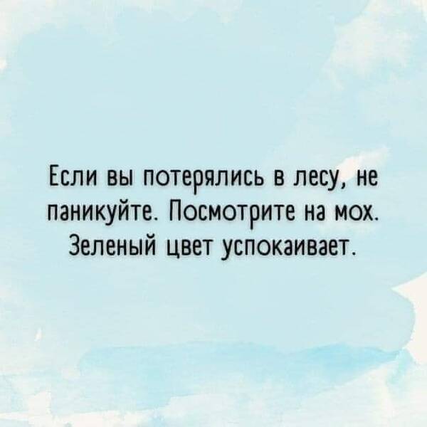 https://upforme.ru/uploads/000a/3f/42/819/t980106.jpg