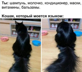 https://upforme.ru/uploads/000a/3f/42/82/t98565.jpg
