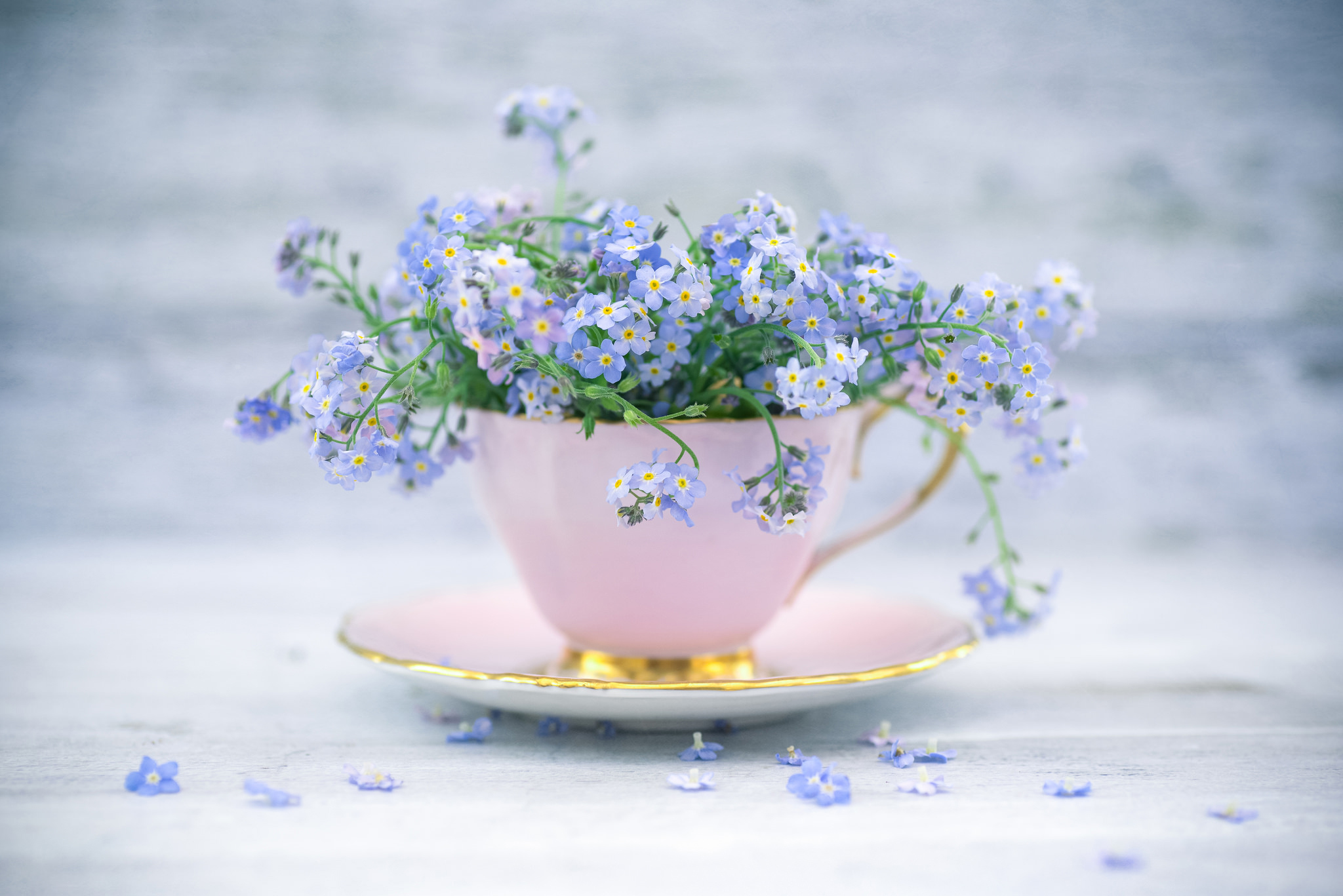 https://upforme.ru/uploads/000a/3f/42/831/132092.jpg