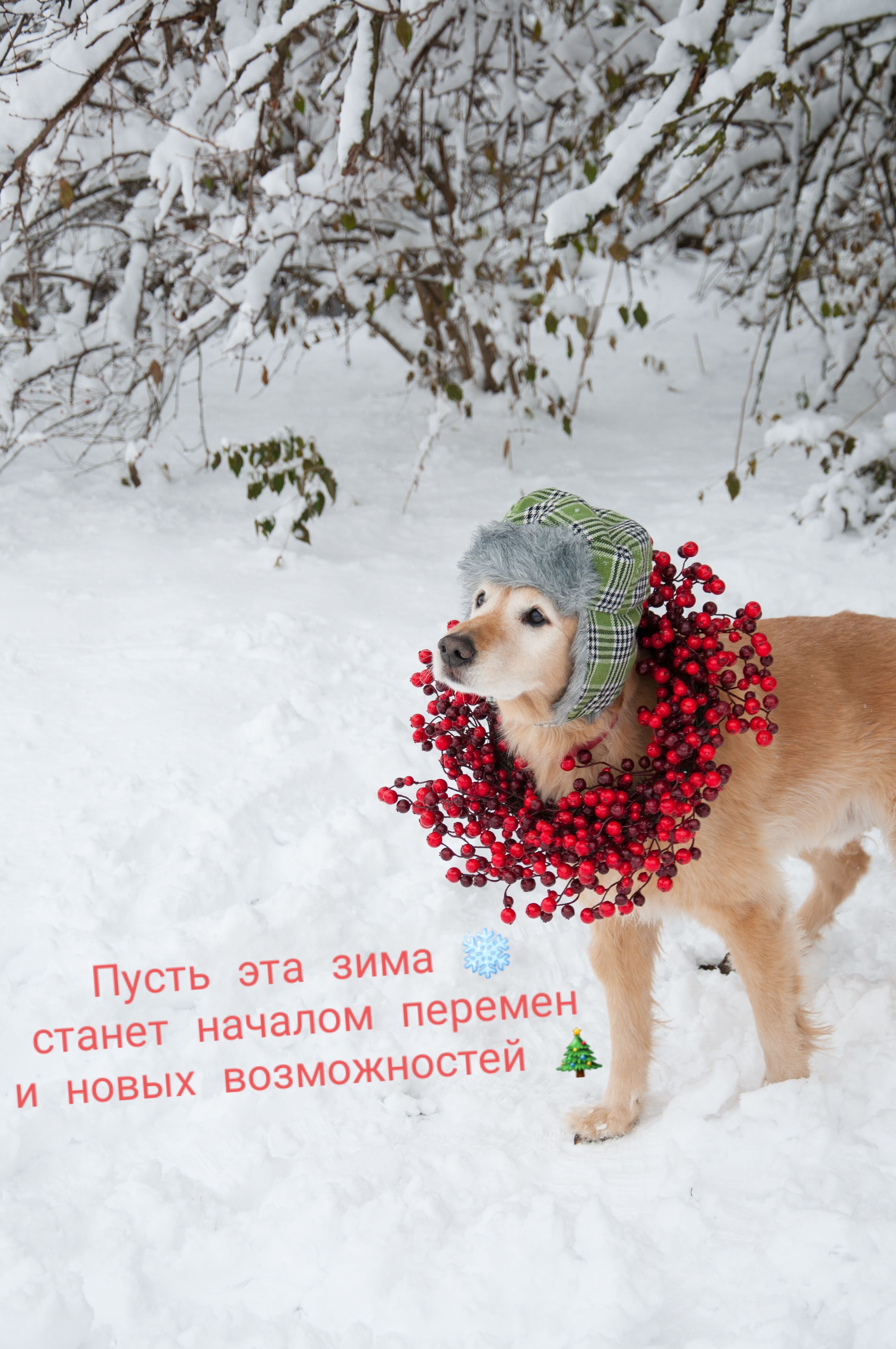 https://upforme.ru/uploads/000a/3f/42/831/21351.jpg