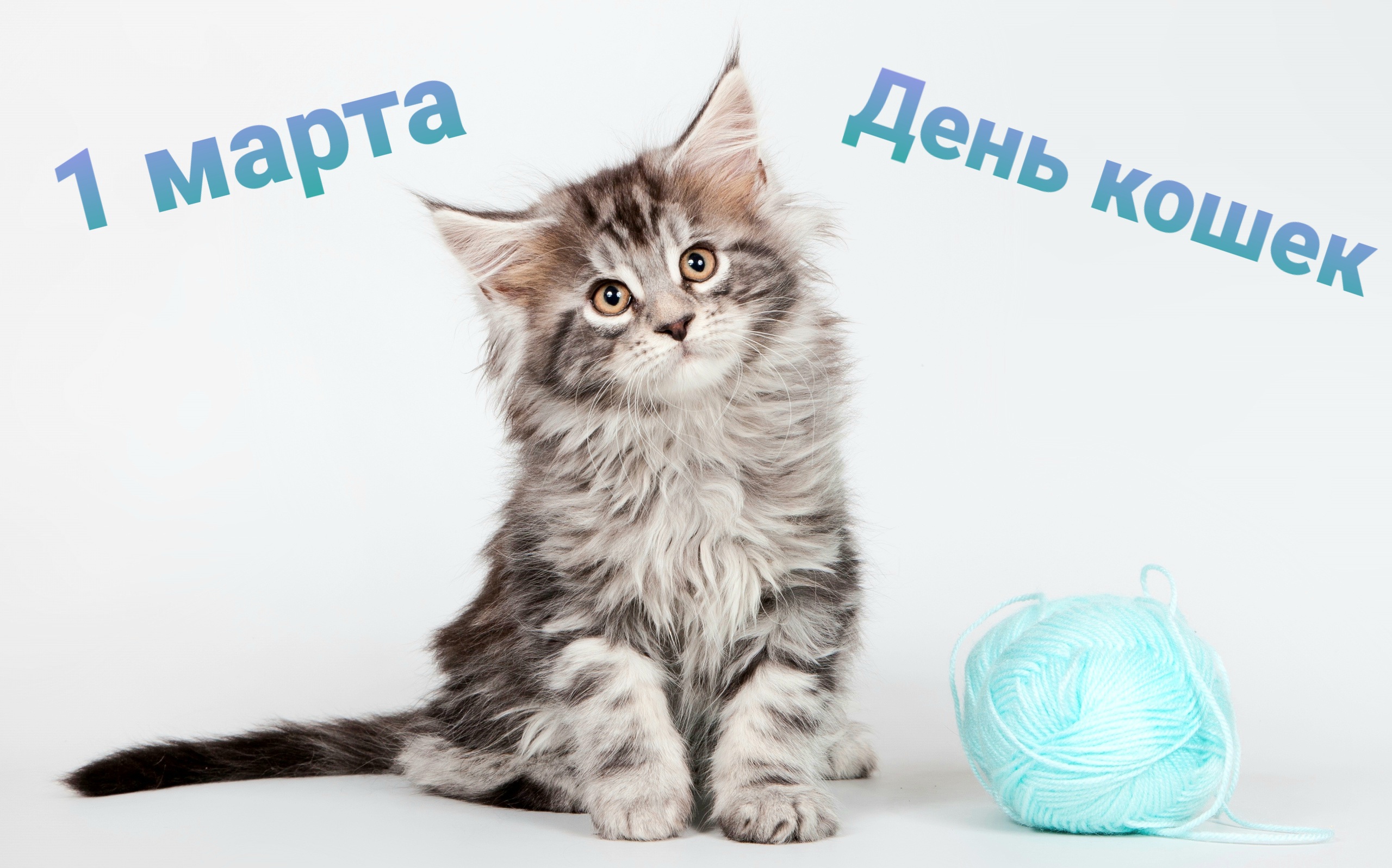 https://upforme.ru/uploads/000a/3f/42/831/685308.jpg