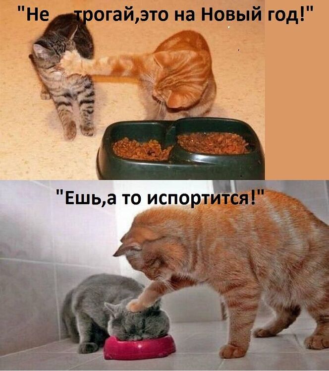 https://upforme.ru/uploads/000a/3f/42/831/799206.jpg