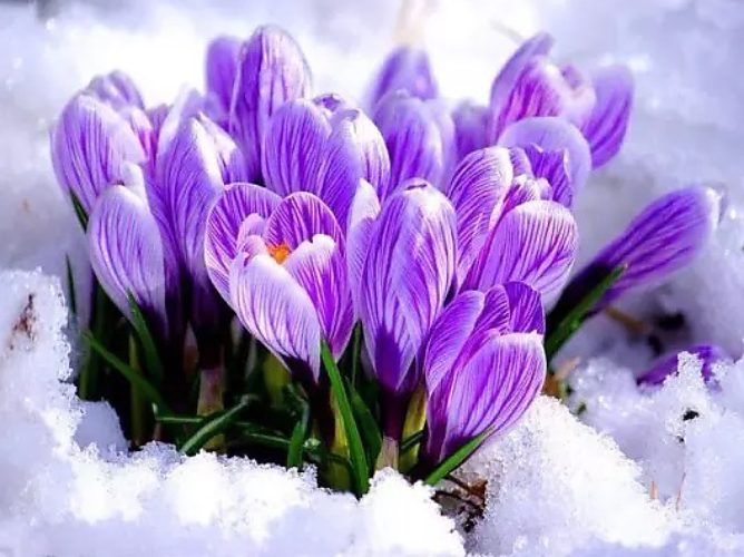 https://upforme.ru/uploads/000a/3f/42/831/862221.jpg