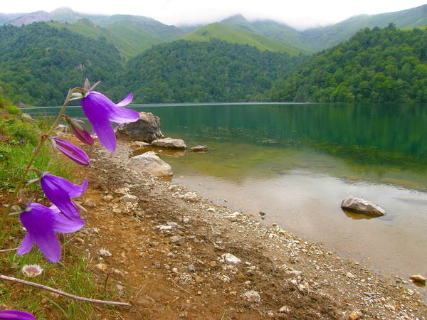 https://upforme.ru/uploads/000a/48/6c/155/t476793.jpg