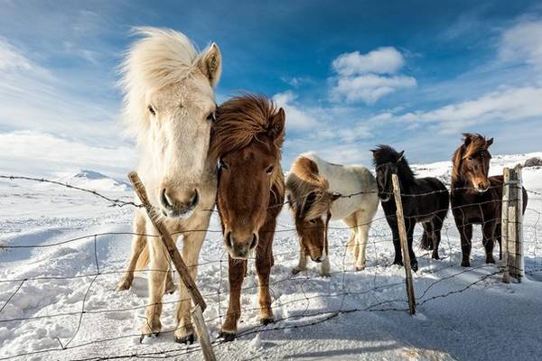 https://upforme.ru/uploads/000a/48/6c/155/t558063.jpg