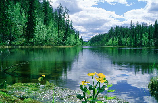 https://upforme.ru/uploads/000a/48/6c/155/t645595.jpg