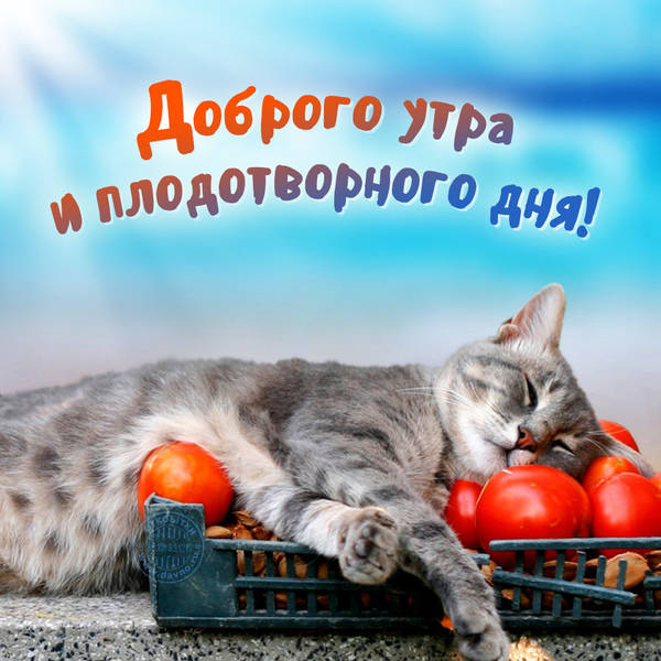 https://upforme.ru/uploads/000a/48/6c/155/t71714.jpg