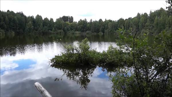 https://upforme.ru/uploads/000a/48/6c/155/t913445.jpg