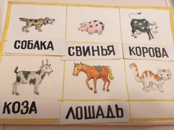 https://upforme.ru/uploads/000a/48/6c/477/t444058.jpg