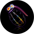 https://upforme.ru/uploads/000a/48/6c/580/t413810.png