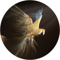 https://upforme.ru/uploads/000a/48/6c/612/t982466.png