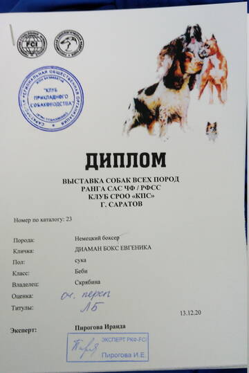 https://upforme.ru/uploads/000a/51/ea/751/t371255.jpg