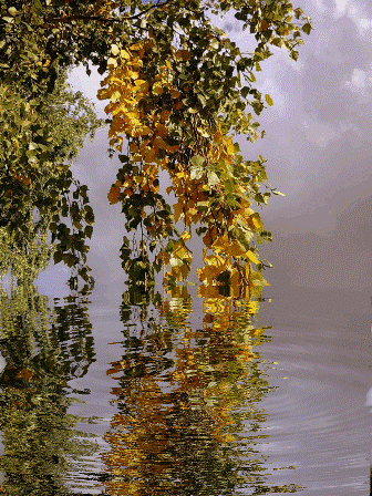 https://upforme.ru/uploads/000a/53/7b/706/t329009.gif