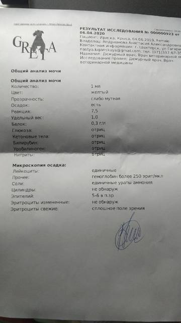 https://upforme.ru/uploads/000a/56/e5/1681/t187977.jpg