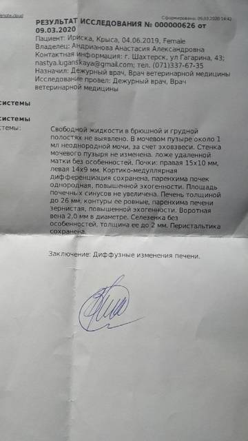 https://upforme.ru/uploads/000a/56/e5/1681/t231984.jpg