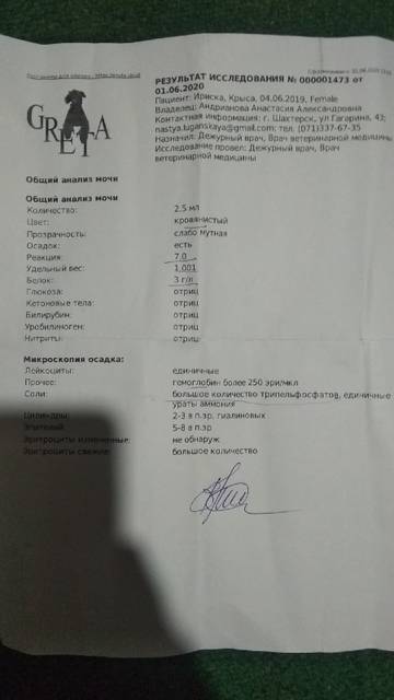https://upforme.ru/uploads/000a/56/e5/1681/t250720.jpg