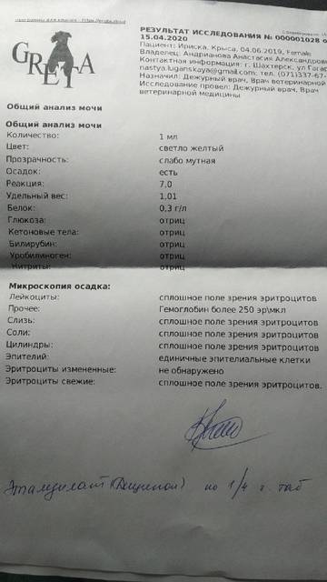https://upforme.ru/uploads/000a/56/e5/1681/t25850.jpg