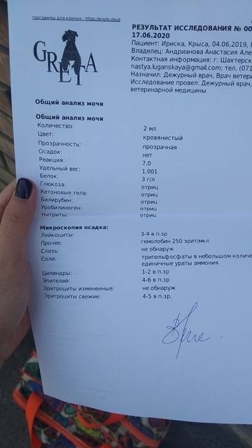 https://upforme.ru/uploads/000a/56/e5/1681/t708986.jpg