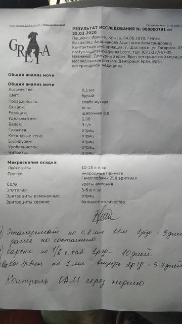 https://upforme.ru/uploads/000a/56/e5/1681/t834793.jpg