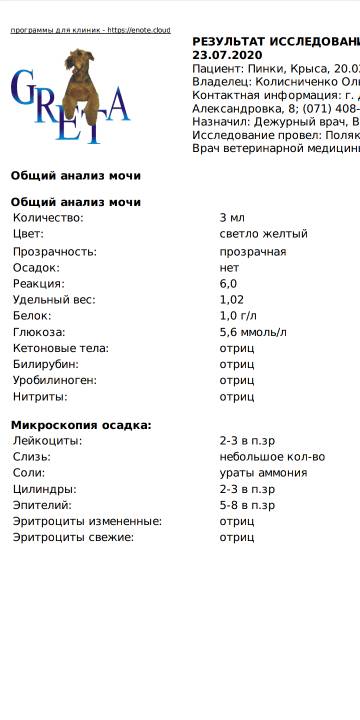 https://upforme.ru/uploads/000a/56/e5/1753/t506222.jpg
