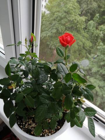 https://upforme.ru/uploads/000a/78/7a/144/t175988.jpg