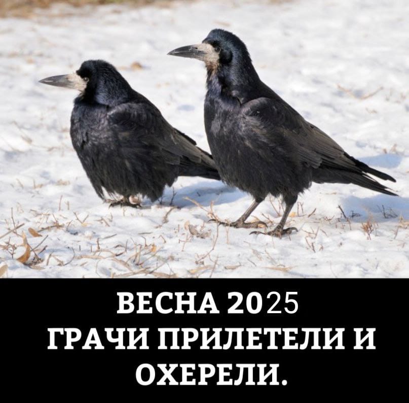 https://upforme.ru/uploads/000a/78/7a/526/120853.jpg