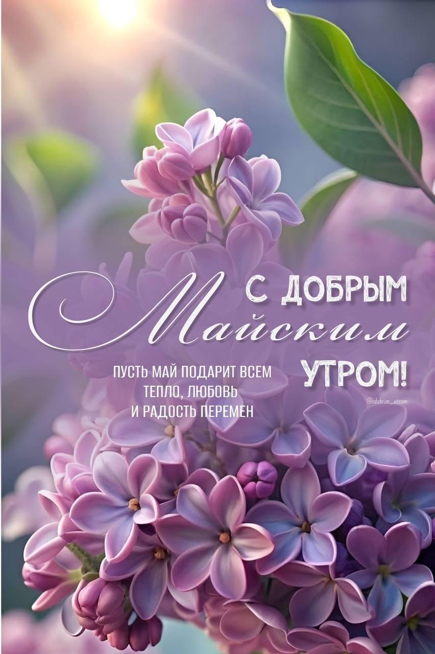 https://upforme.ru/uploads/000a/78/7a/526/12209.jpg