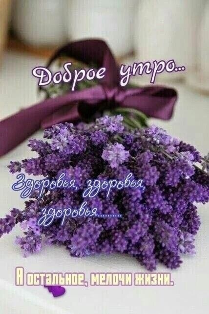 https://upforme.ru/uploads/000a/78/7a/526/126070.jpg