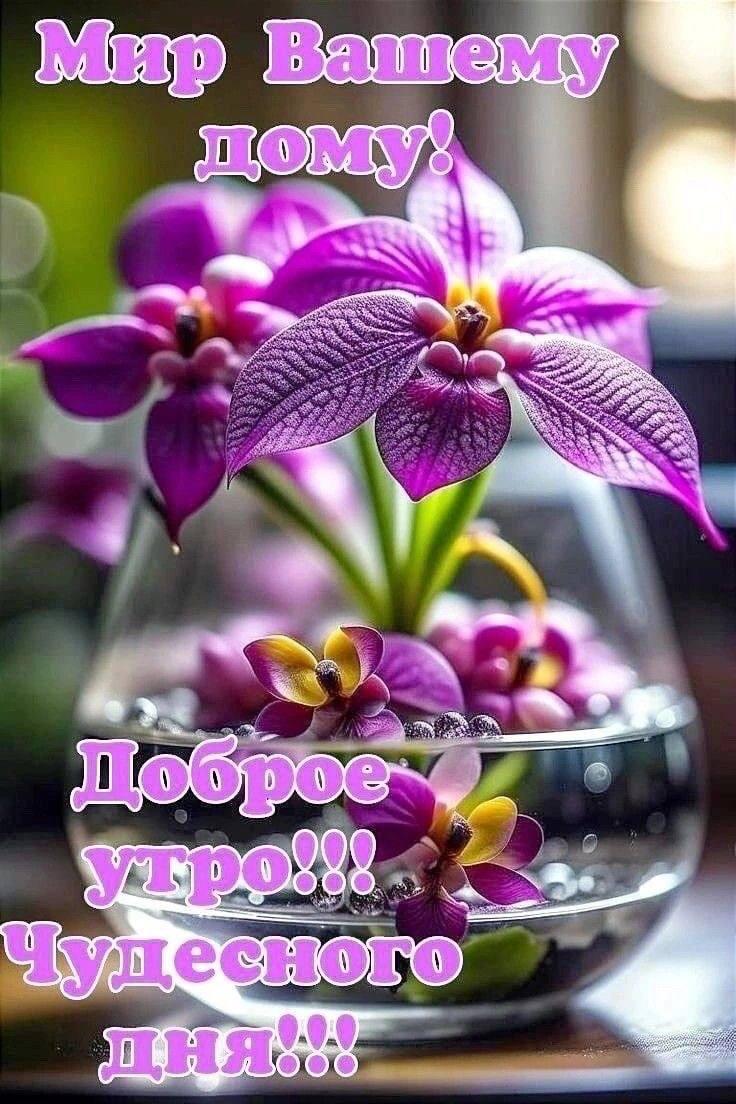 https://upforme.ru/uploads/000a/78/7a/526/143648.jpg