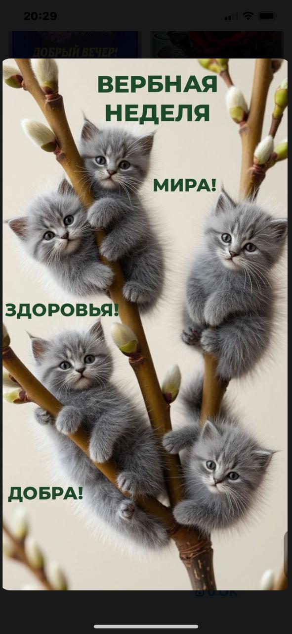 https://upforme.ru/uploads/000a/78/7a/526/150203.jpg
