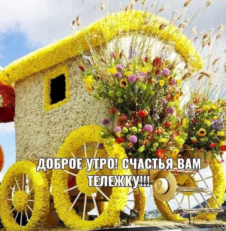 https://upforme.ru/uploads/000a/78/7a/526/151601.jpg